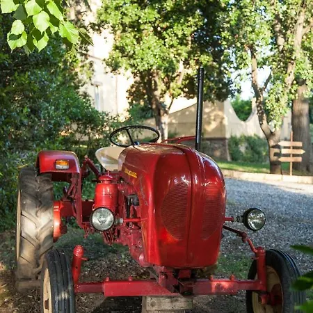 Borgo San Martino